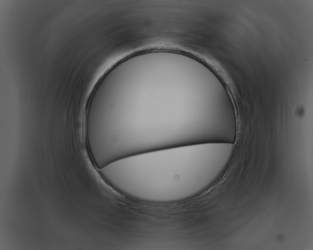 X0000096691295200802051028