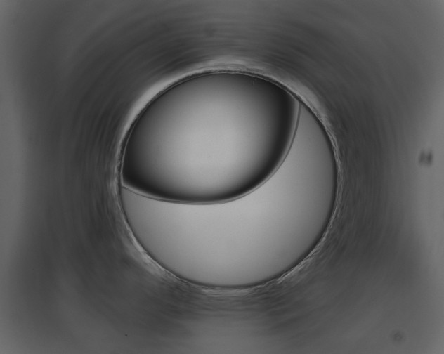 X0000096691296200802051028