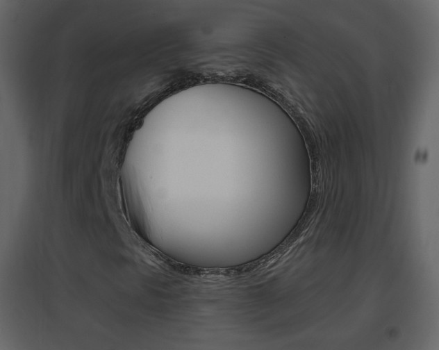 X0000096691297200802051027