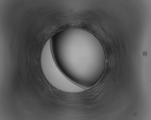 X0000096691298200802051027