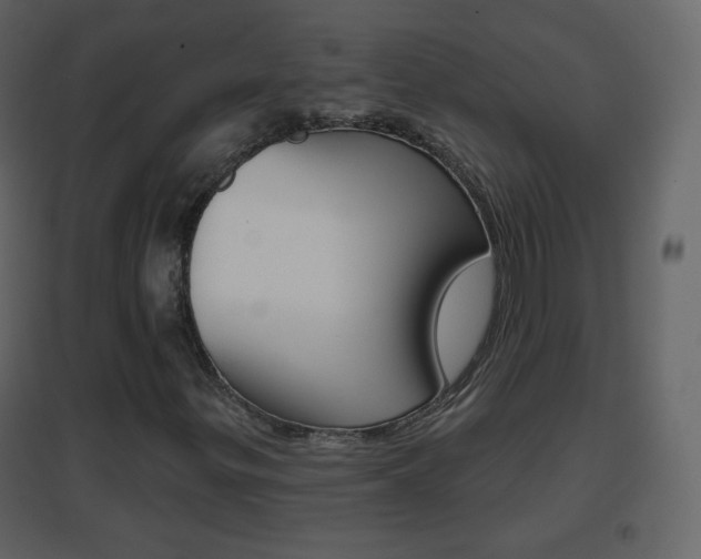 X0000096691299200802051027