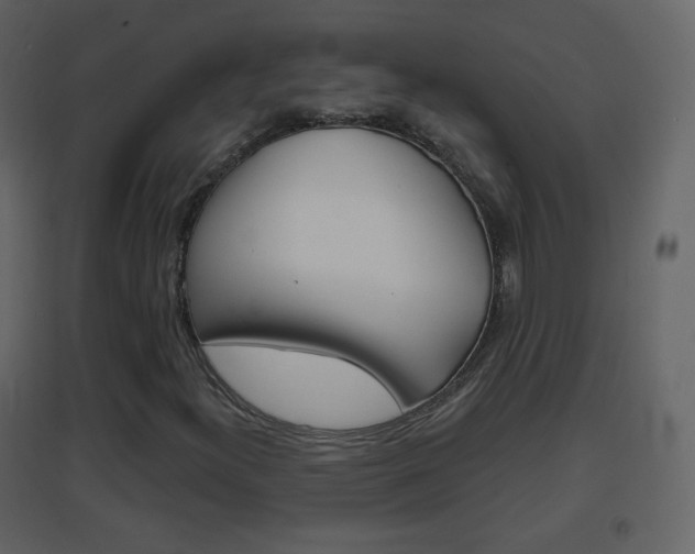 X0000096691300200802051027
