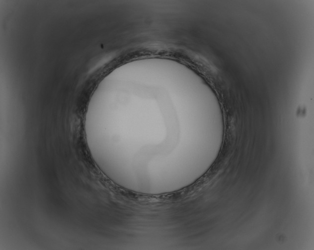 X0000096691302200802051027