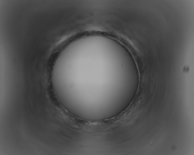 X0000096691303200802051027
