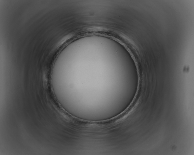 X0000096691305200802051027
