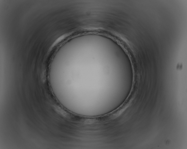 X0000096691306200802051027