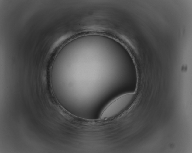 X0000096691307200802051027