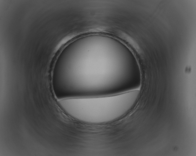 X0000096691308200802051027