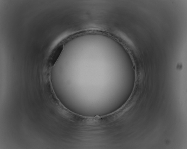 X0000096691310200802051027