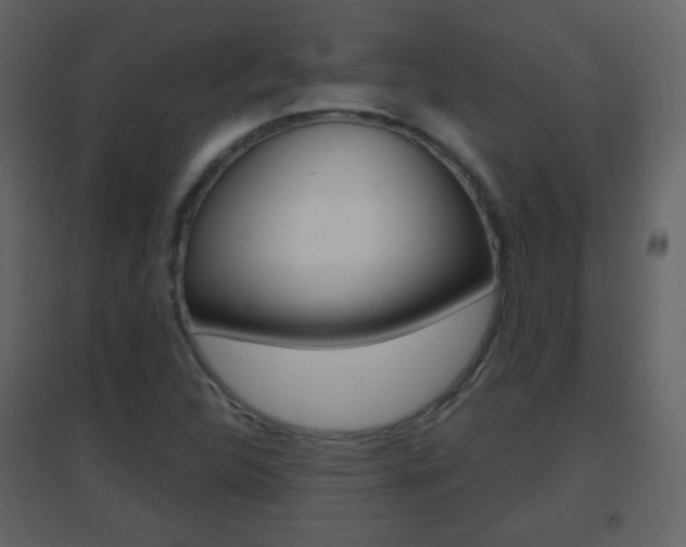 X0000096691312200802051027