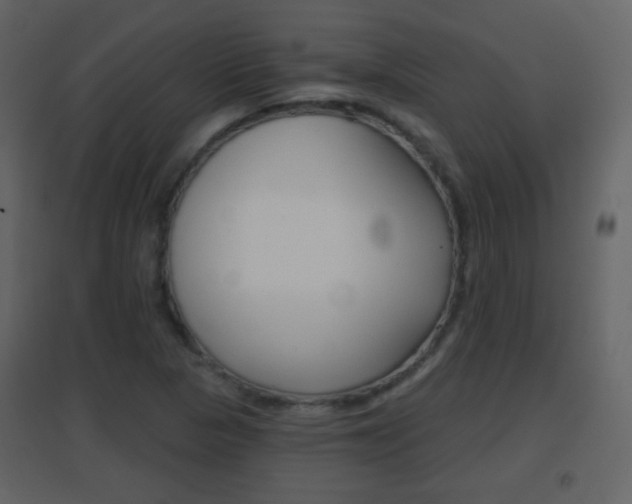 X0000096691313200802051027