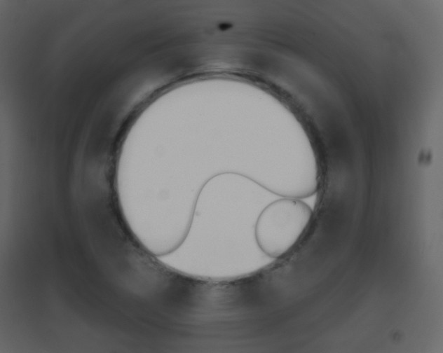 X0000096691314200802051027