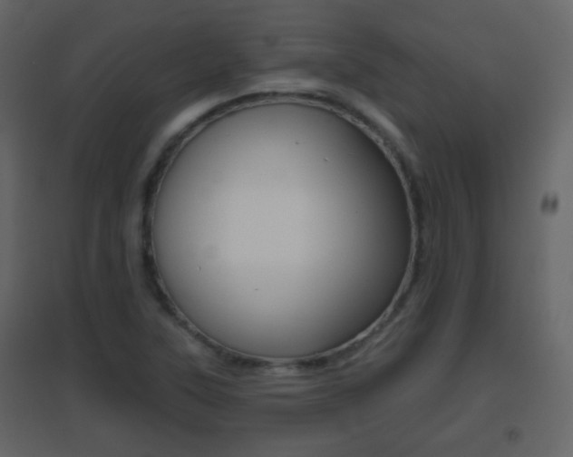 X0000096691315200802051027