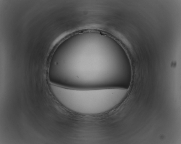 X0000096691316200802051027