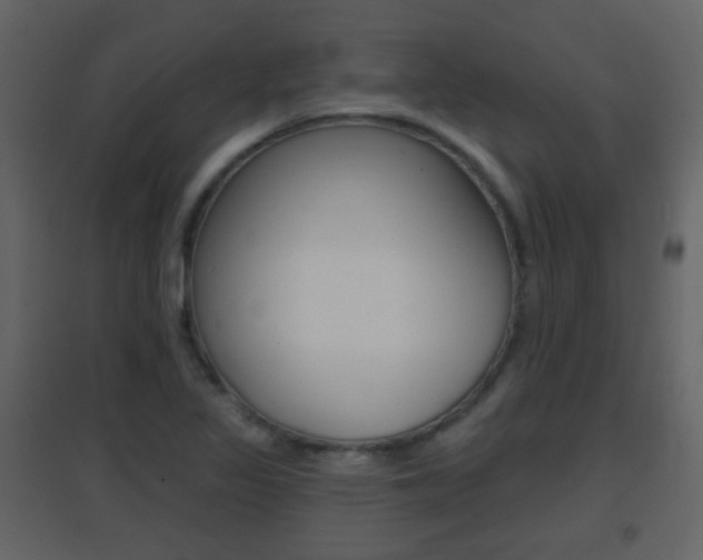 X0000096691317200802051027