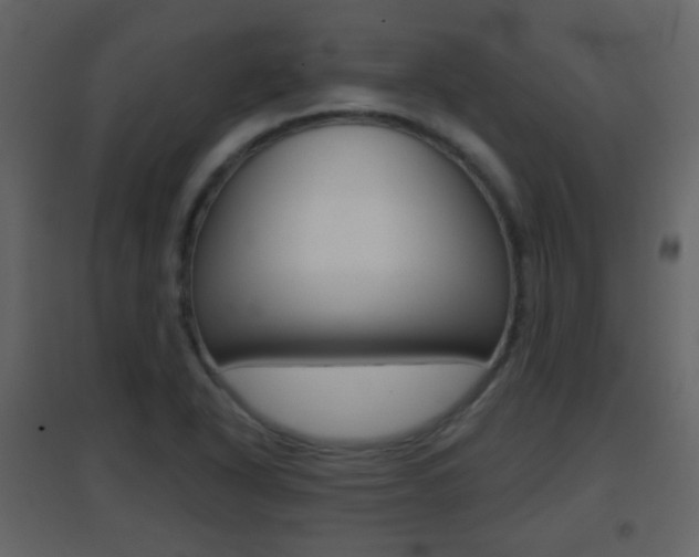 X0000096691318200802051027