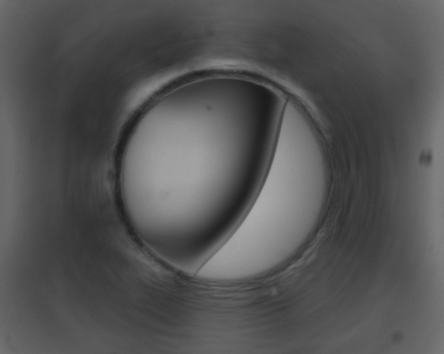 X0000096691319200802051028