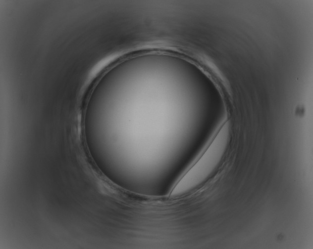 X0000096691320200802051028