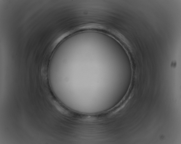 X0000096691321200802051028