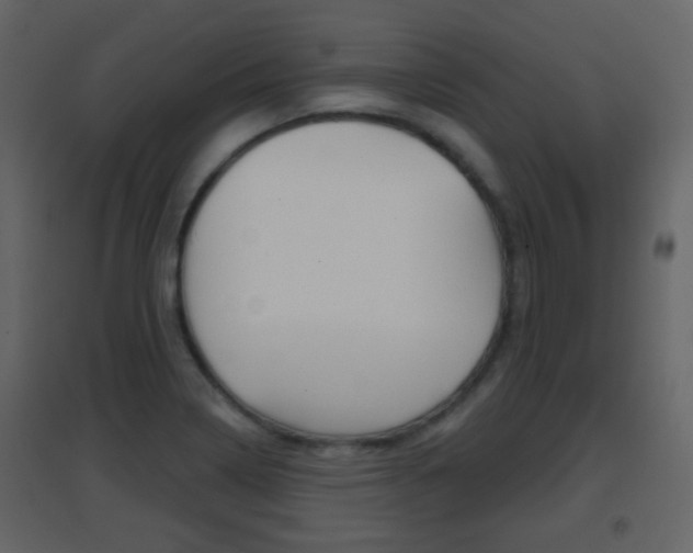 X0000096691322200802051028