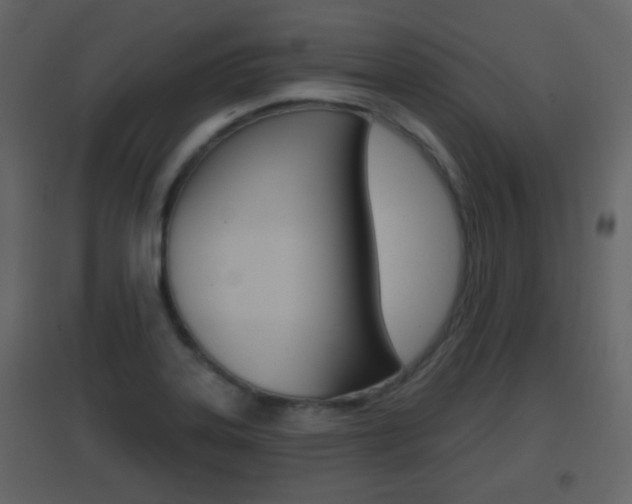X0000096691323200802051028