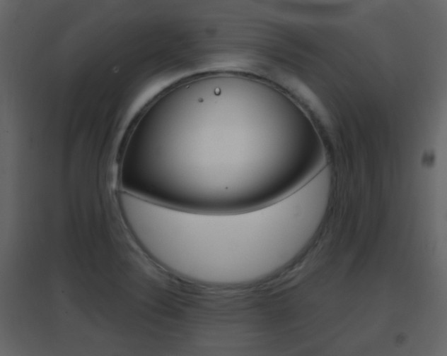 X0000096691324200802051028