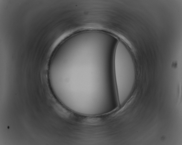 X0000096691325200802051028