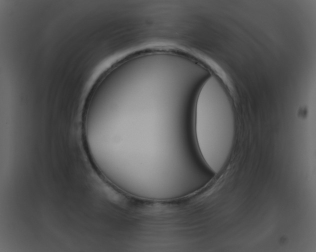 X0000096691327200802051028