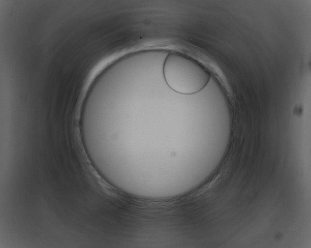 X0000096691328200802051028