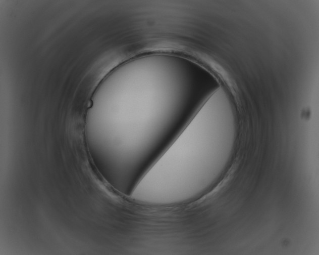 X0000096691329200802051028
