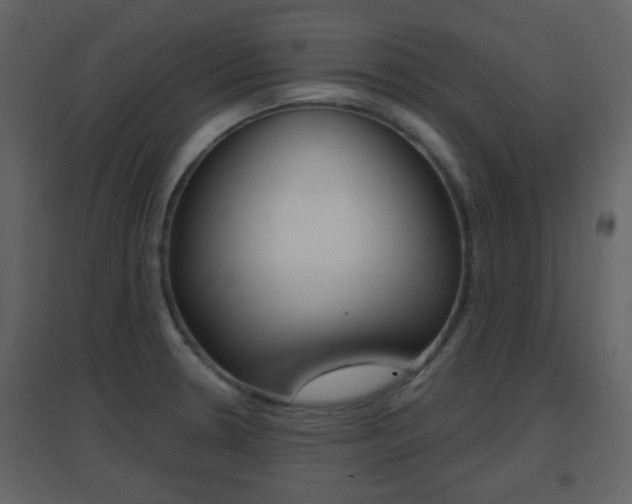 X0000096691330200802051028