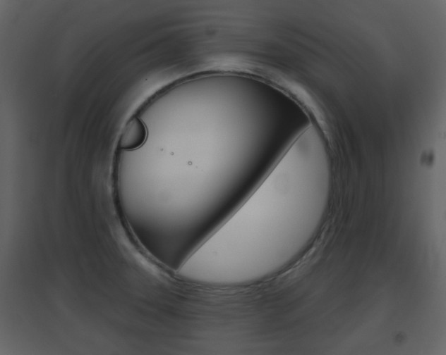 X0000096691331200802051028
