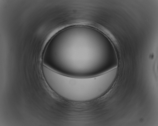 X0000096691332200802051028