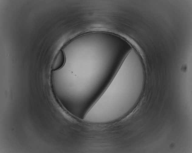 X0000096691333200802051028