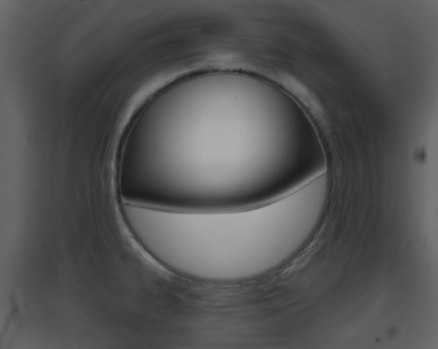 X0000096691334200802051028