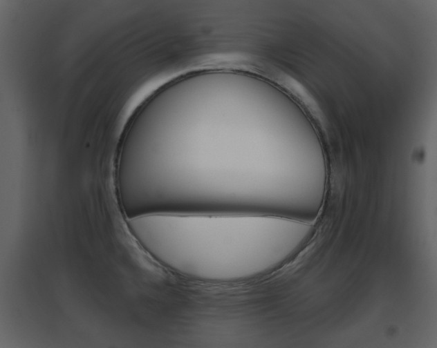 X0000096691336200802051028