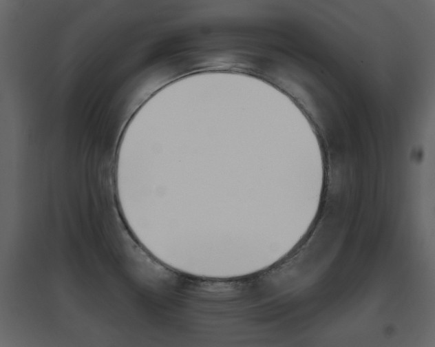 X0000096691338200802051028