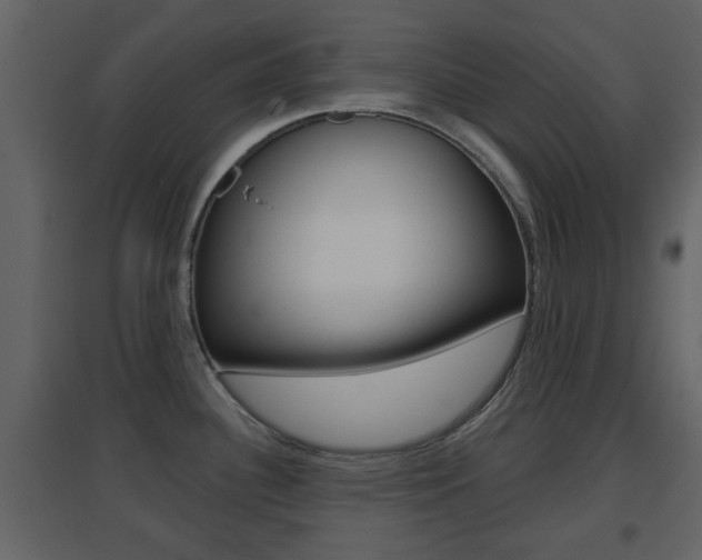 X0000096691340200802051028