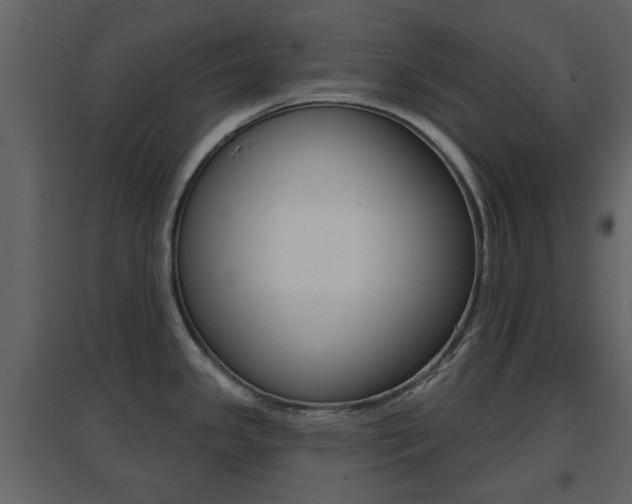X0000096691341200802051028
