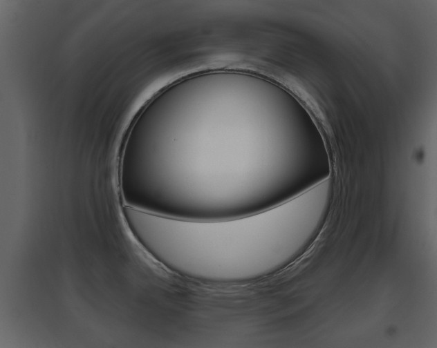 X0000096691342200802051028