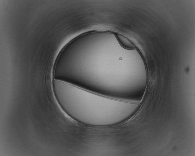 X0000096691343200802051028