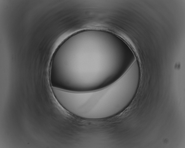 X0000096691344200802051028