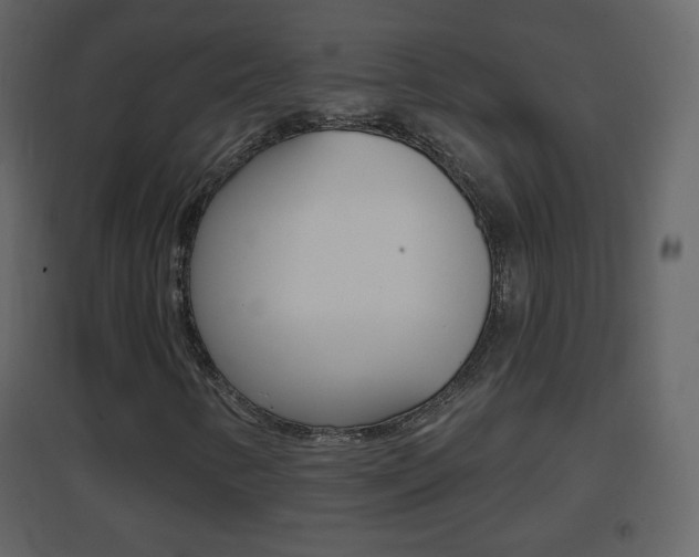 X0000096691346200802051027