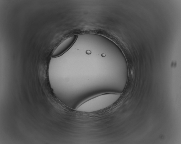 X0000096691348200802051027
