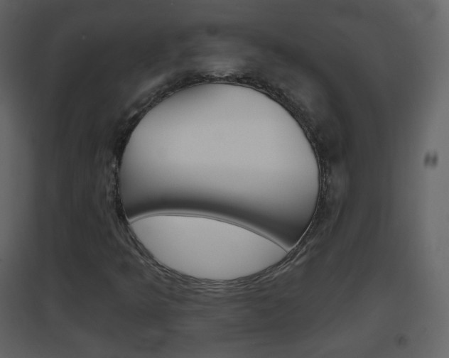 X0000096691349200802051027