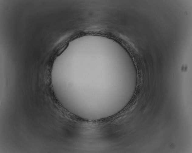 X0000096691350200802051027