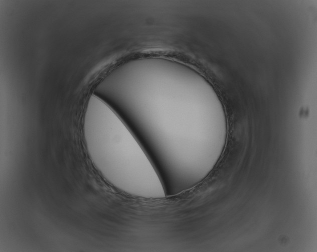 X0000096691351200802051027