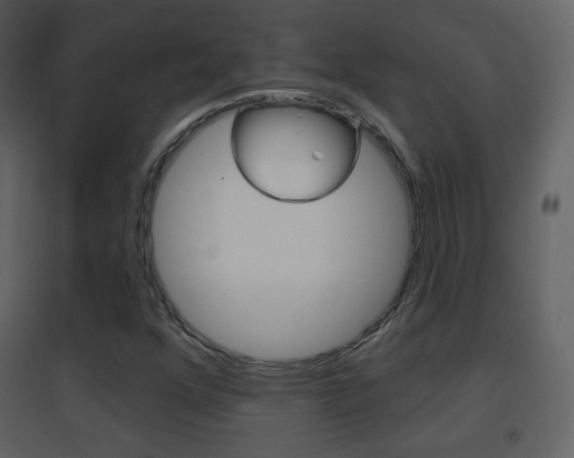 X0000096691352200802051027