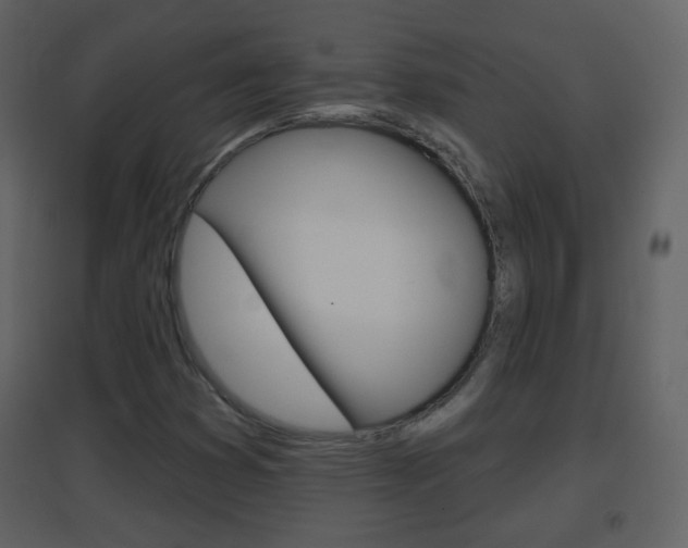X0000096691353200802051027