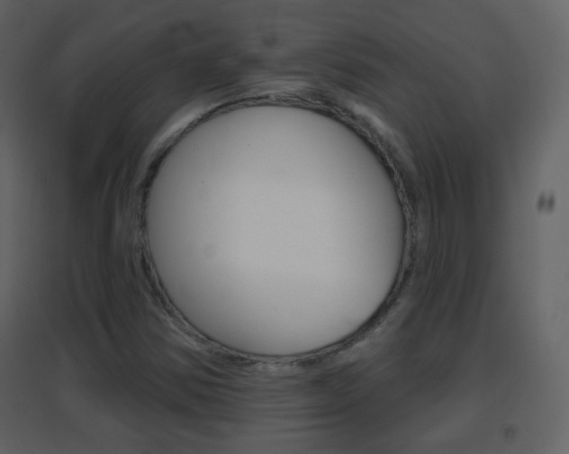 X0000096691354200802051027